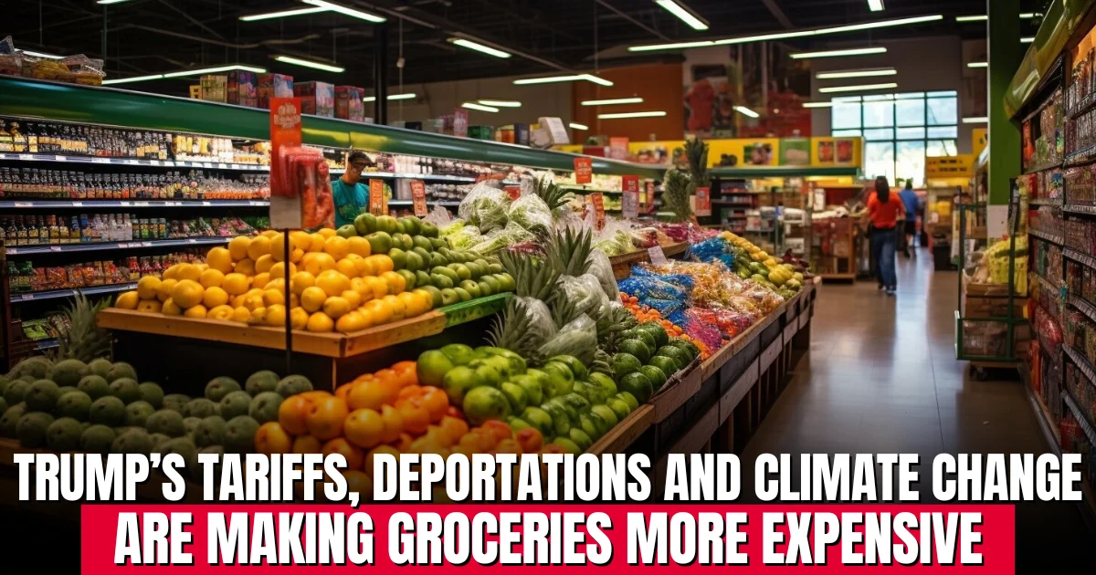 trump tariffs, immigration, climate change Cause high grocery prices