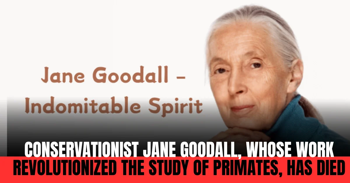 Conservationist Jane Goodall, Whose Work Revolutionized the Study of Primates, Has Died