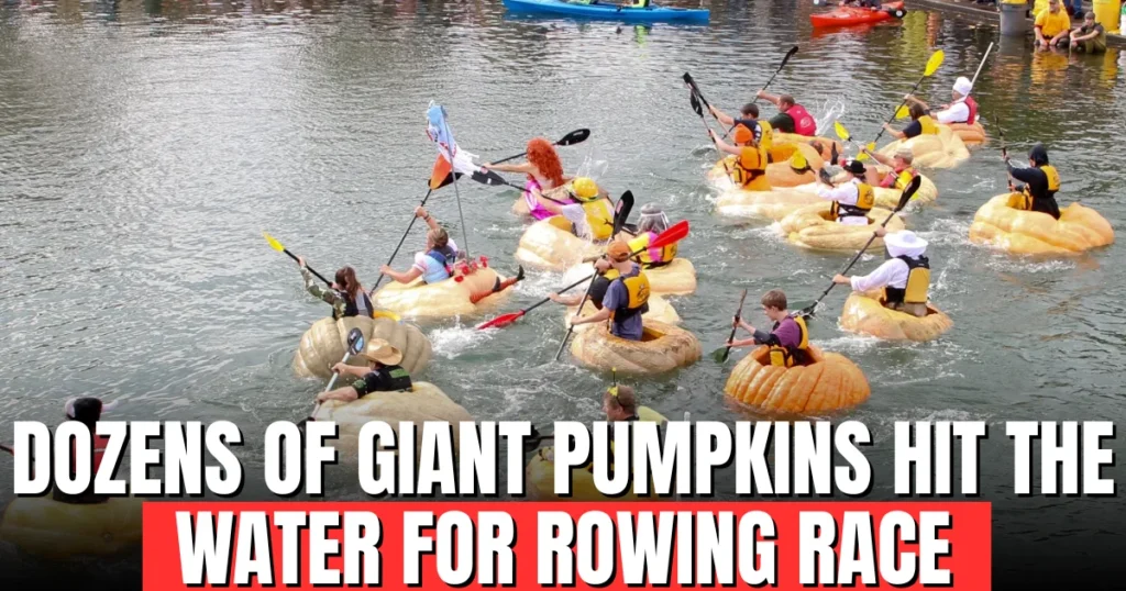 Dozens of Giant Pumpkins Hit the Water for Rowing Race