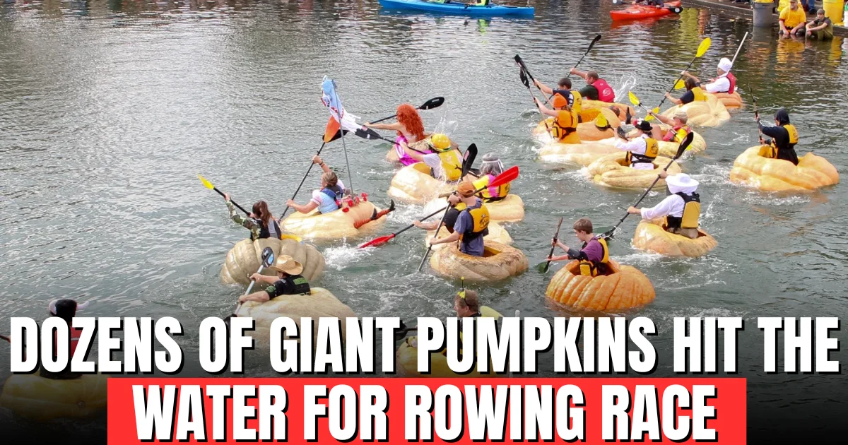 Dozens of Giant Pumpkins Hit the Water for Rowing Race