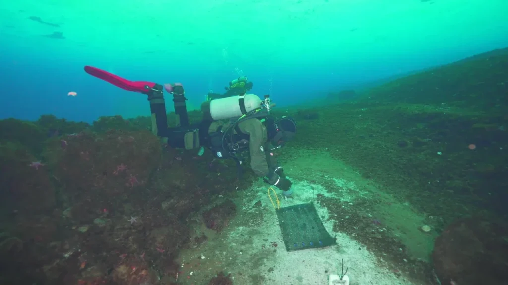 Scientific Exploration Continues