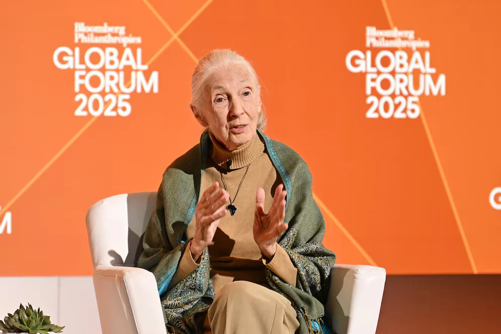 Jane Goodall’s Legacy