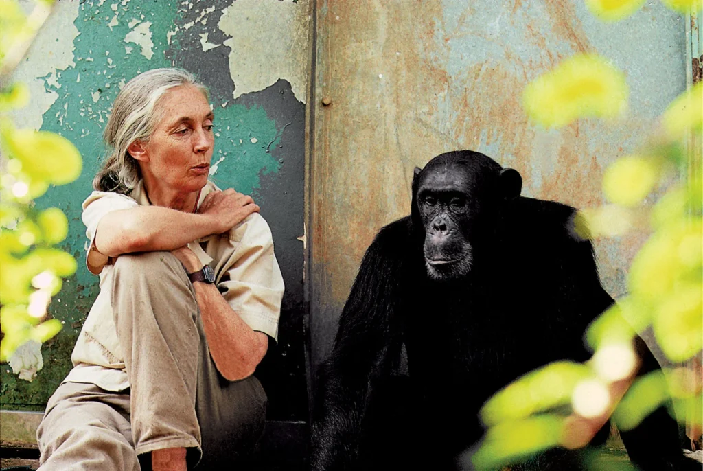 Jane Goodall’s Early Life and Passion for Animals